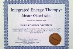 integralt-energia-terapia-mester-oktato-szint